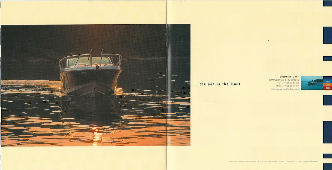 Goldfish Company Brochure