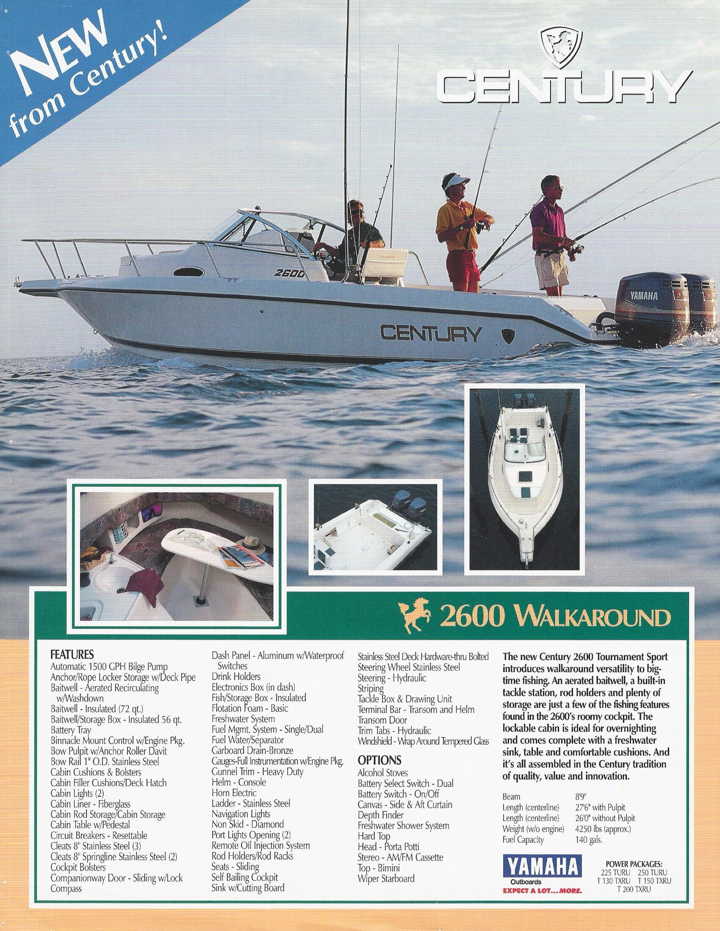 Century 2600 Walkaround Flyer Brochure