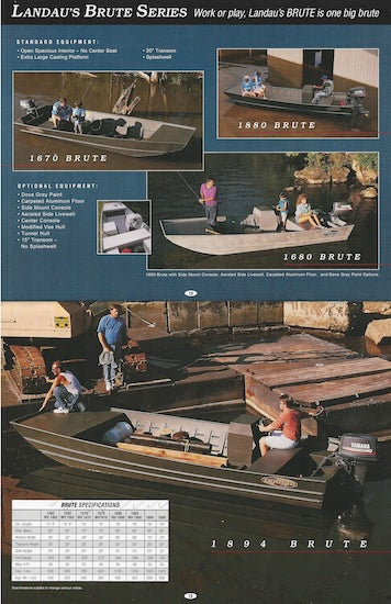 Landau 1995 Brochure