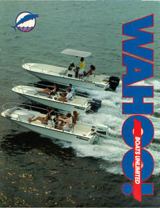 Wahoo! 1989 Brochure