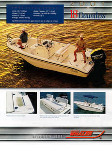 Boston Whaler Dauntless 18 Brochure