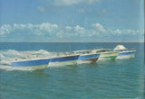 Bertram 31 Brochure