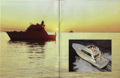 Bertram 42 Convertible  Brochure