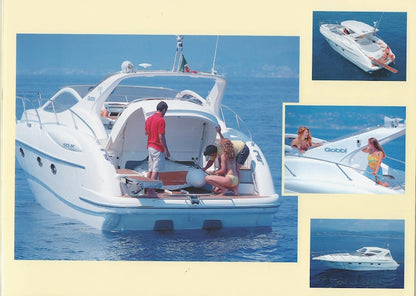 Gobbi 425 SC Brochure