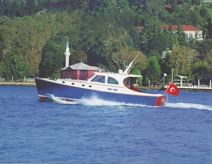 Vicem Brochure