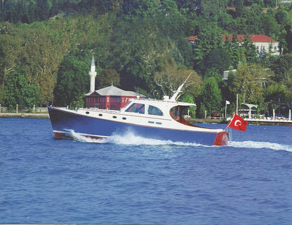 Vicem Brochure