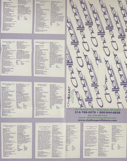 Challenger 2002 Poster Brochure