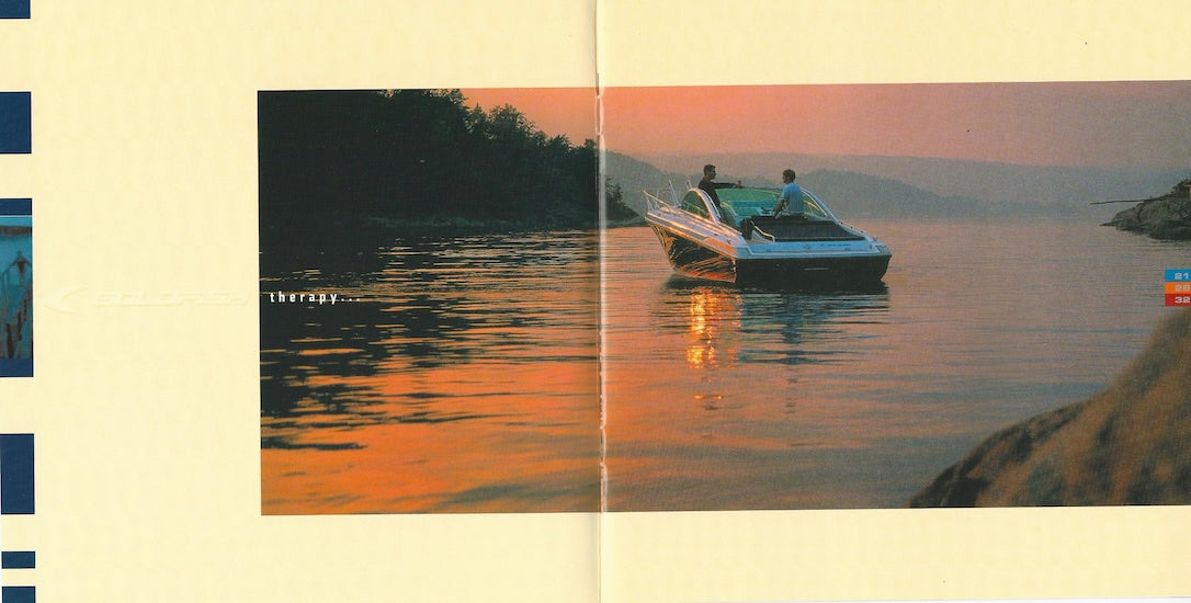 Goldfish Company Brochure