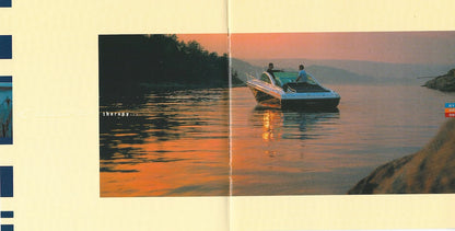 Goldfish Company Brochure