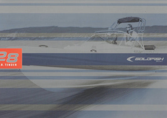 Goldfish 28 RIB Tender Brochure