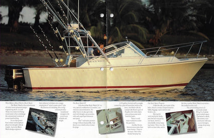 Black Watch 26 Brochure