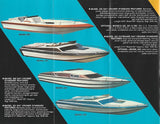 Avenger 1981 Brochure