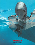 Honda 1999 Outboard Brochure