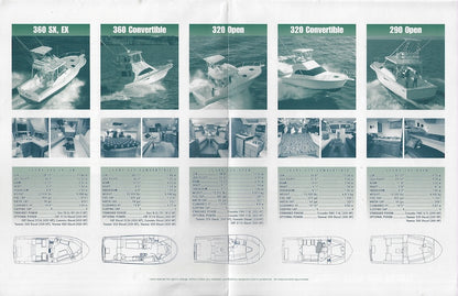 Luhrs 1999 Poster Brochure
