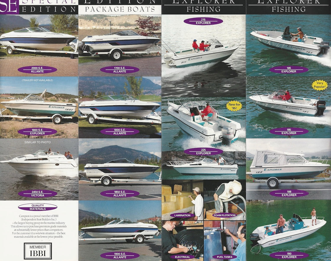 Campion 1995 Poster Brochure