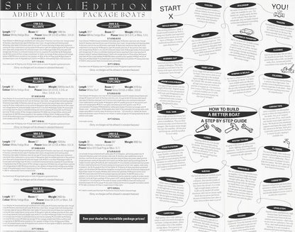 Campion 1995 Poster Brochure