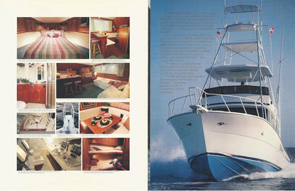 Viking 45 Convertible Brochure