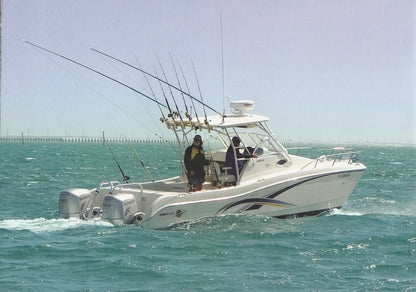 World Cat 2007 Brochure