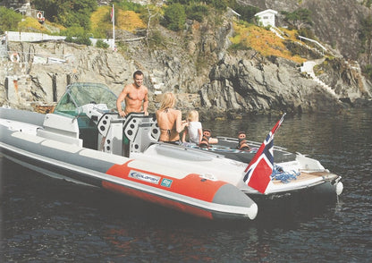 Goldfish 29 Rib Tender Brochure
