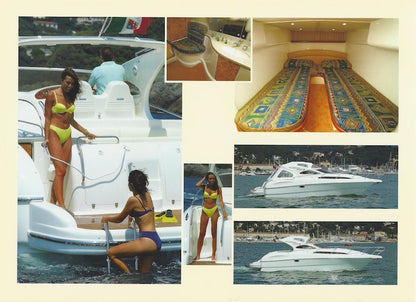 Gobbi 375 SC Brochure