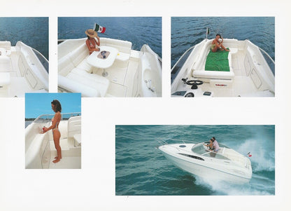 Gobbi 225 Cabin Brochure