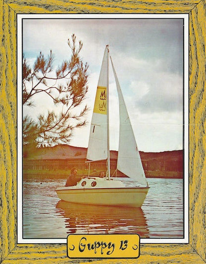 Melen Guppy 13 Digital Brochure Package