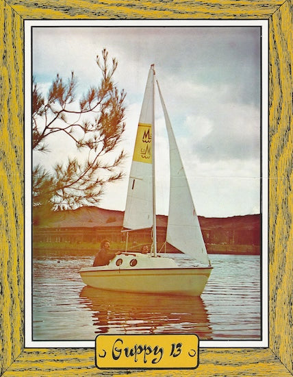 Melen Guppy 13 Digital Brochure Package