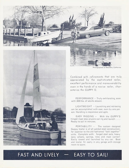 Melen Guppy 13 Digital Brochure Package