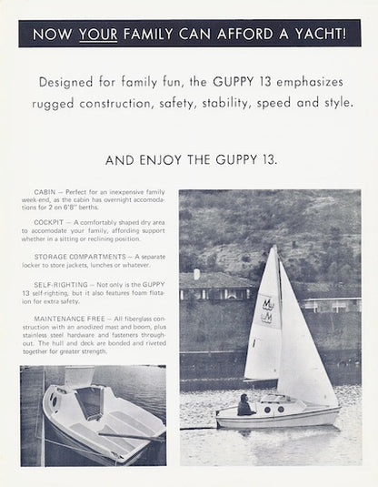 Melen Guppy 13 Digital Brochure Package