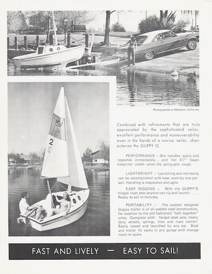 Melen Guppy 13 Digital Brochure Package