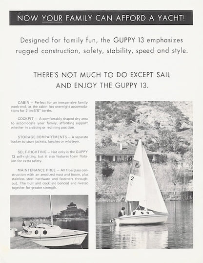 Melen Guppy 13 Digital Brochure Package
