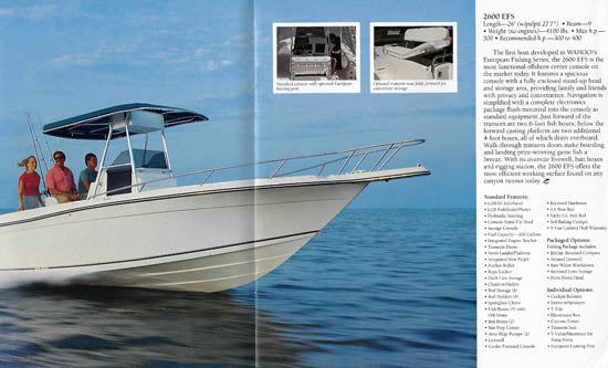 Wahoo! 1993 Brochure