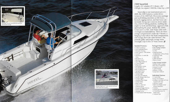 Wahoo! 1993 Brochure