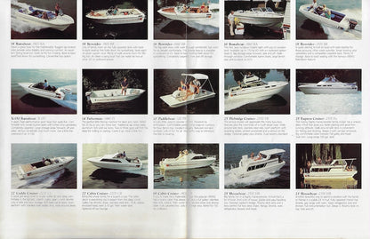 Viking 1981 Poster Brochure