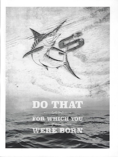 Seaswirl 2016 Striper Brochure