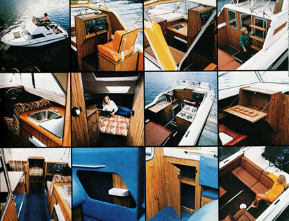 Campion 1979 Brochure