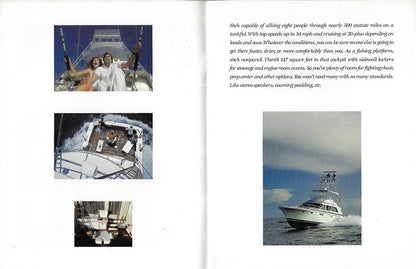 Bertram 54 Convertible Brochure