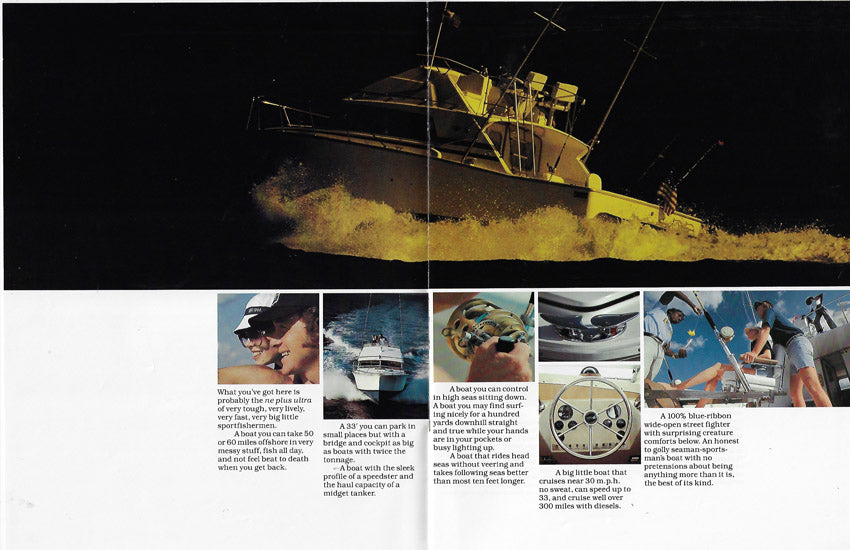Bertram 33 Flybridge Cruiser Brochure