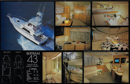 Bertram 43 Brochure
