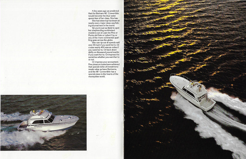 Bertram 46 Convertible Brochure