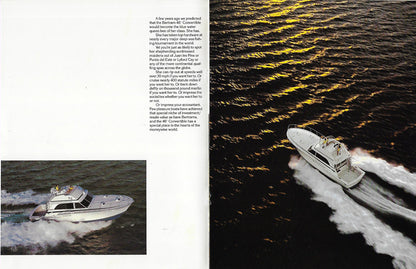 Bertram 46 Convertible Brochure