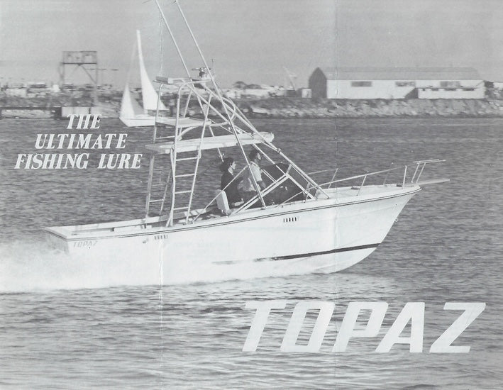 Topaz 24 Bimini Brochure