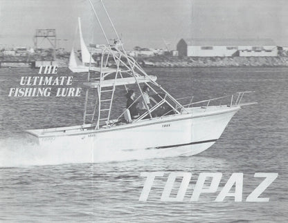 Topaz 24 Bimini Brochure