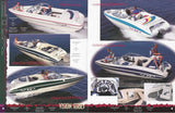 VIP 1990s Brochure