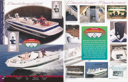 VIP 1990s Brochure