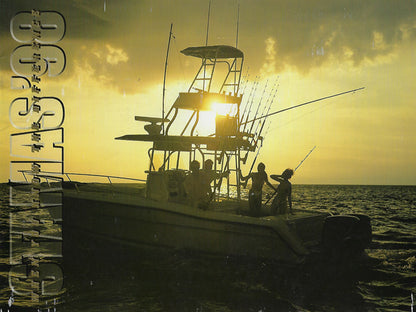 Stamas 1998 Brochure