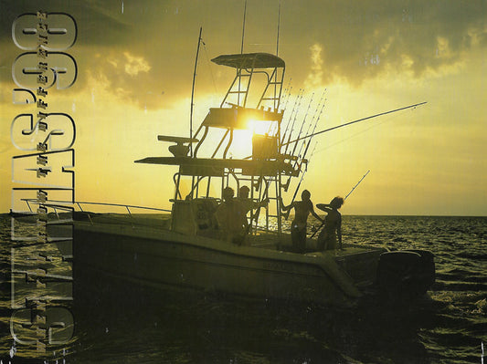 Stamas 1998 Brochure