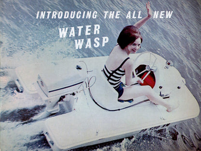 Water Wasp Brochure