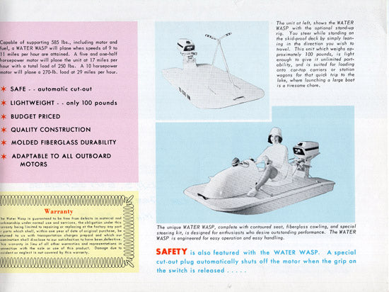 Water Wasp Brochure