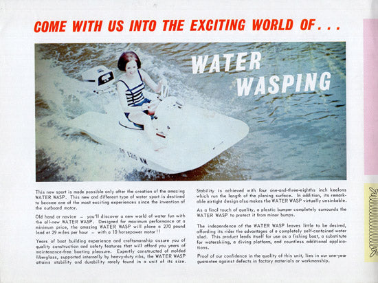 Water Wasp Brochure